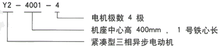 YR系列(H355-1000)高压YKK6301-12三相异步电机西安西玛电机型号说明